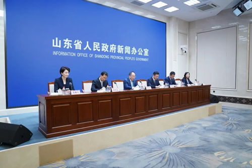 以“一業一策”精準施策，賦能湛江軟件開發拓寬國際市場新格局——答記者問